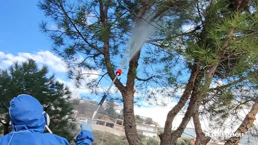 Aplitex Fumigación Nerja