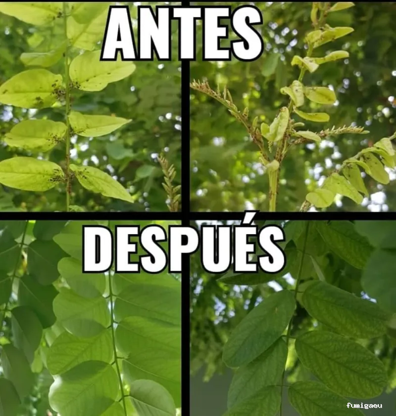 CRESPO CONTROL DE PLAGAS