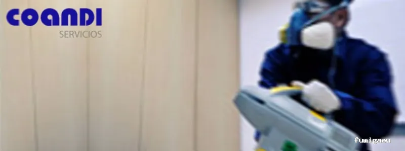 Coandi S.L.