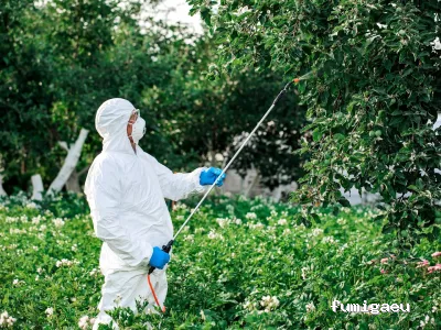 Insectibiza control de plagas