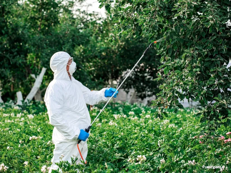 Insectibiza control de plagas