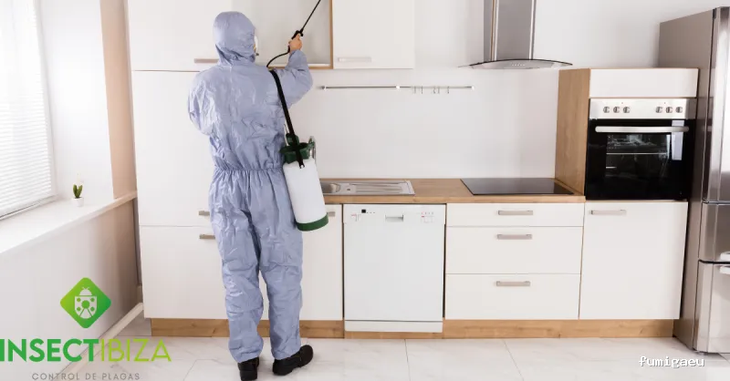Insectibiza control de plagas