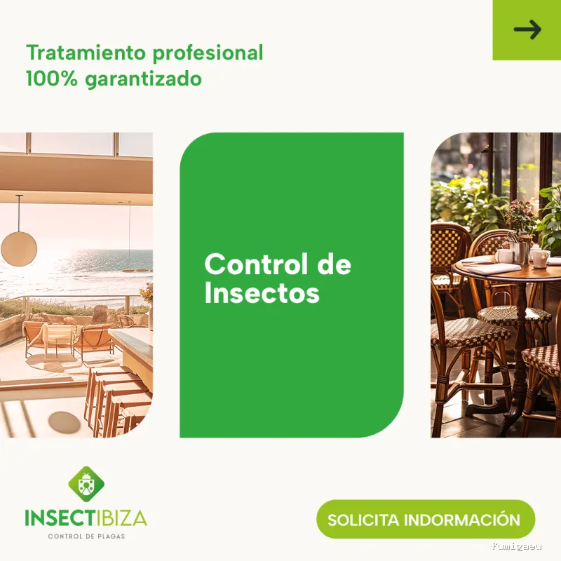 Insectibiza control de plagas