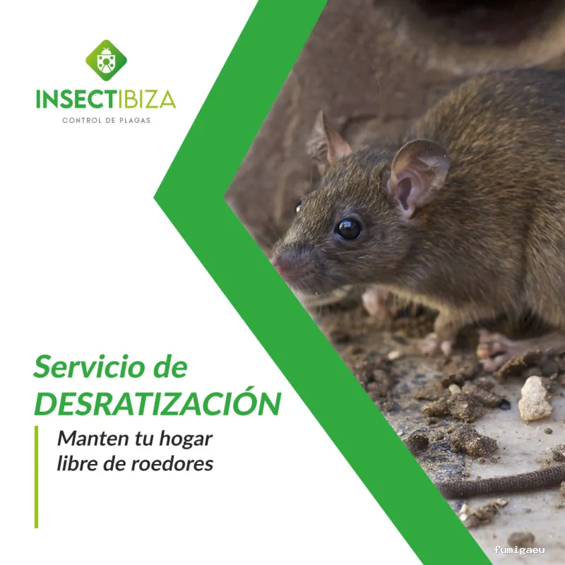 Insectibiza control de plagas
