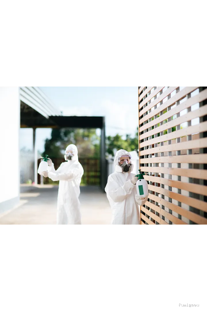 Insectibiza control de plagas