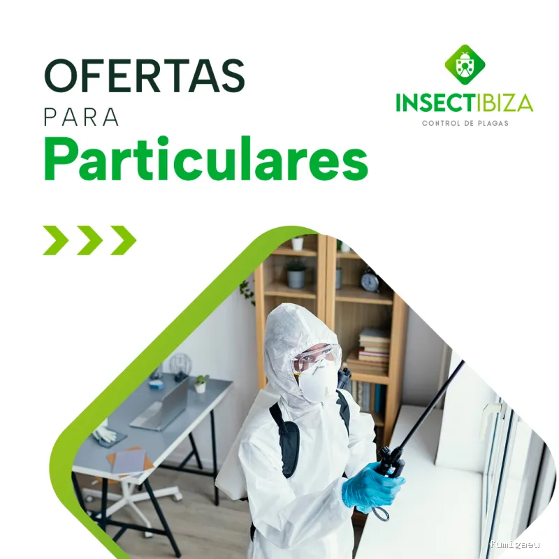 Insectibiza control de plagas
