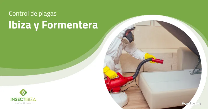 Insectibiza control de plagas