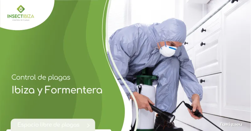 Insectibiza control de plagas
