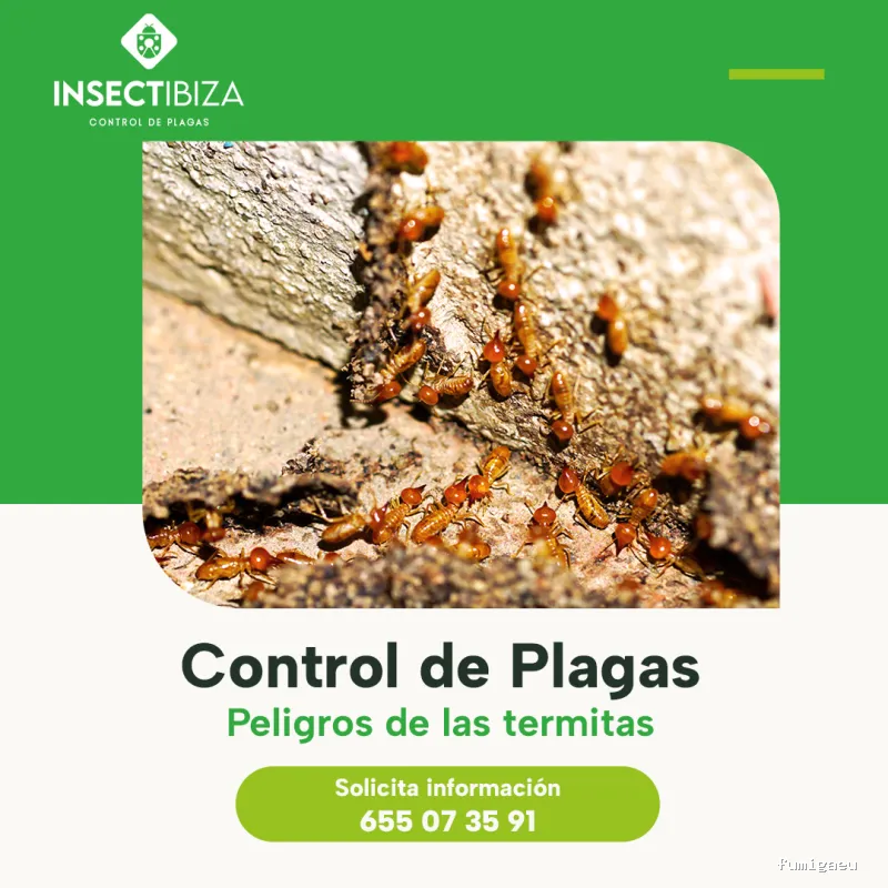 Insectibiza control de plagas