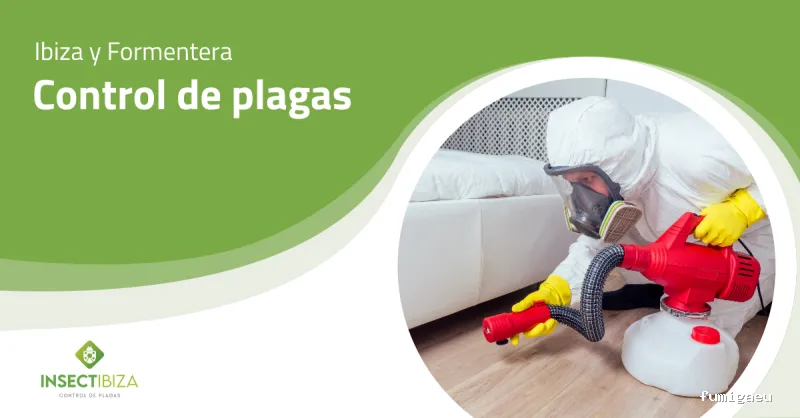 Insectibiza control de plagas