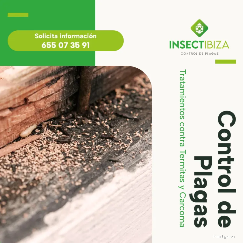 Insectibiza control de plagas