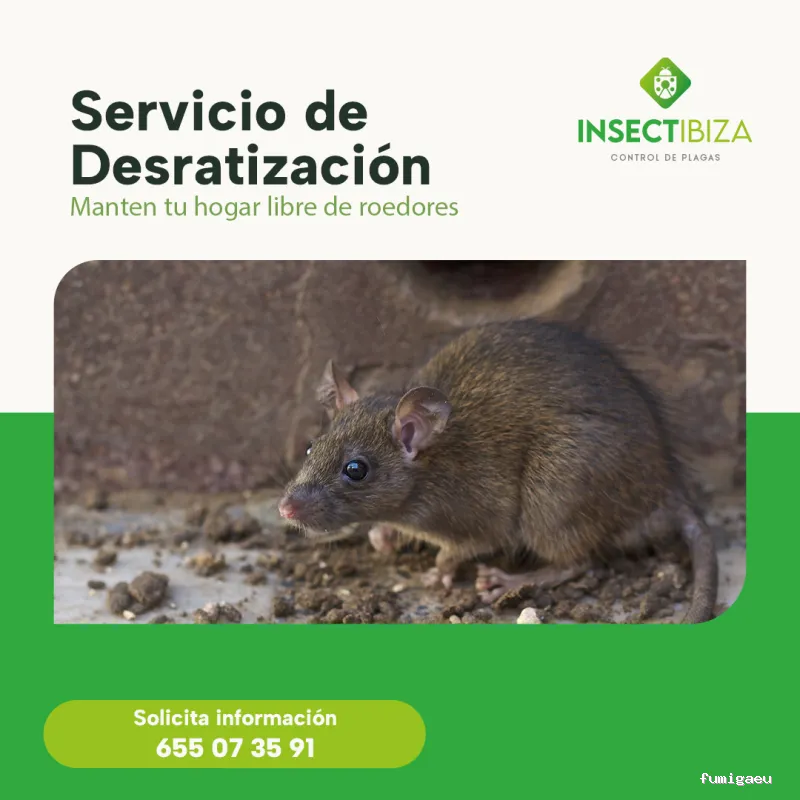Insectibiza control de plagas