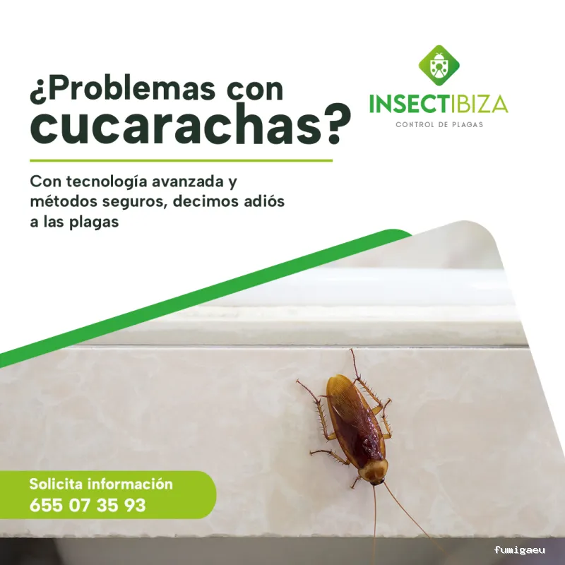 Insectibiza control de plagas