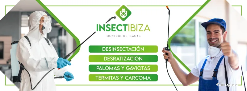 Insectibiza control de plagas