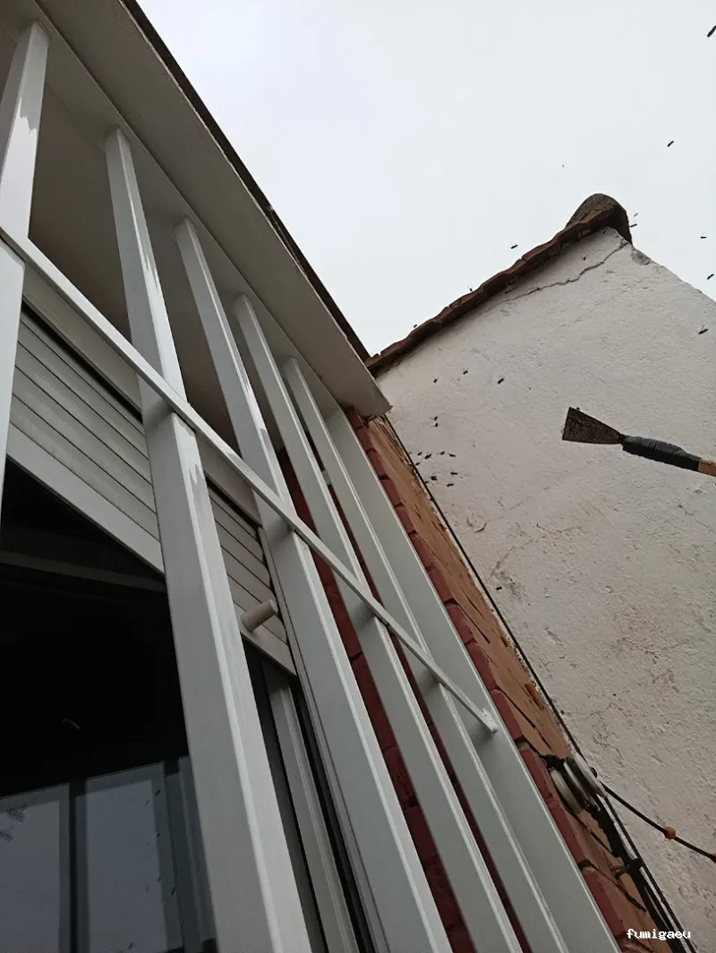 Rapid Control Desinfección S.L