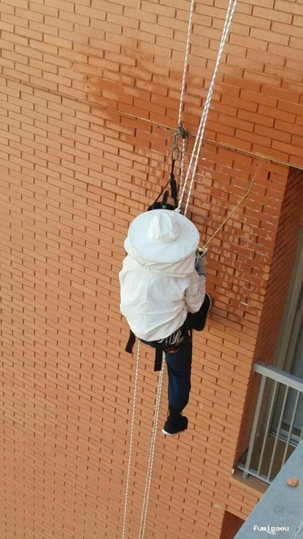 Rapid Control Desinfección S.L