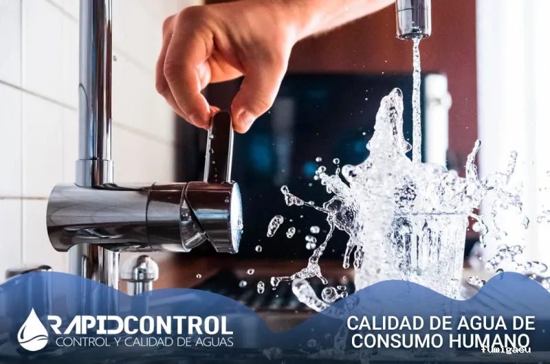 Rapid Control Desinfección S.L