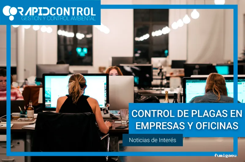 Rapid Control Desinfección S.L