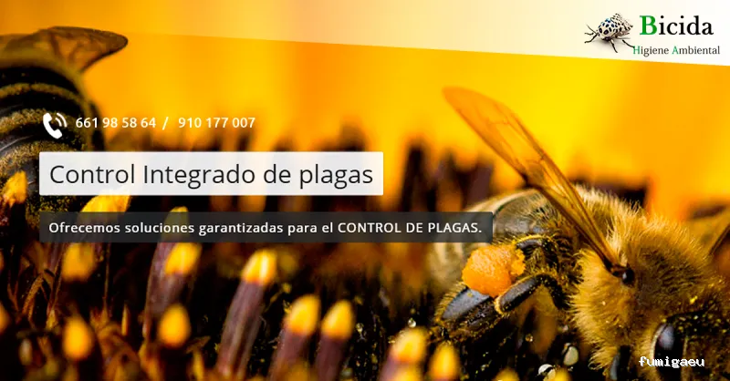 Bicida Higiene Ambiental