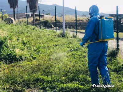 Control de Plagas - Conpla