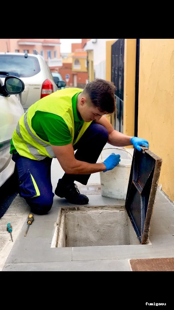 Control de Plagas - Conpla