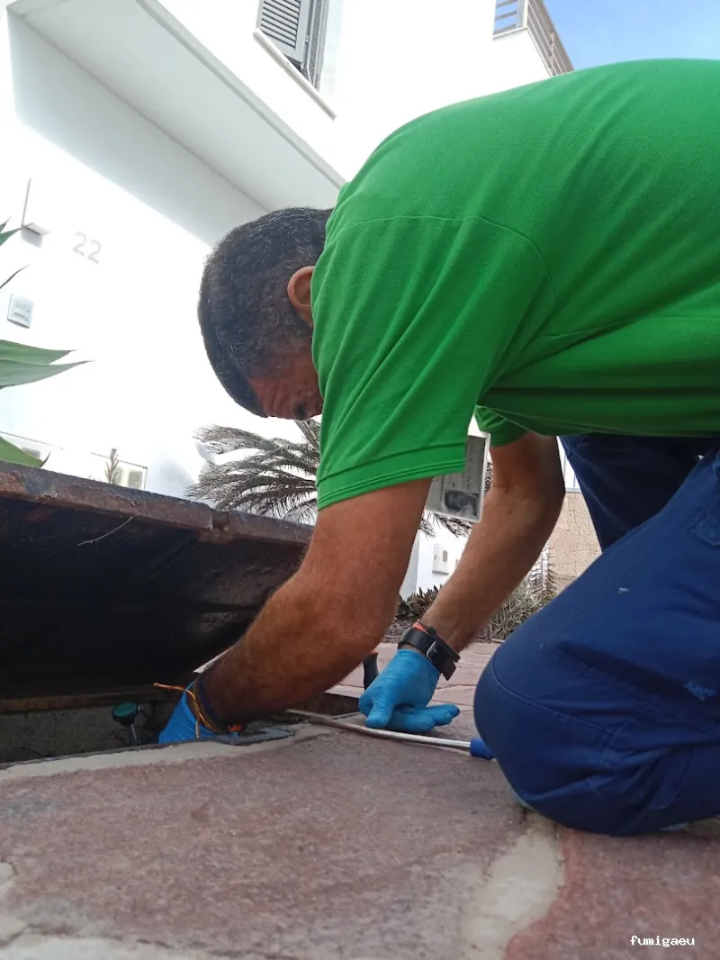 Control de Plagas - Conpla