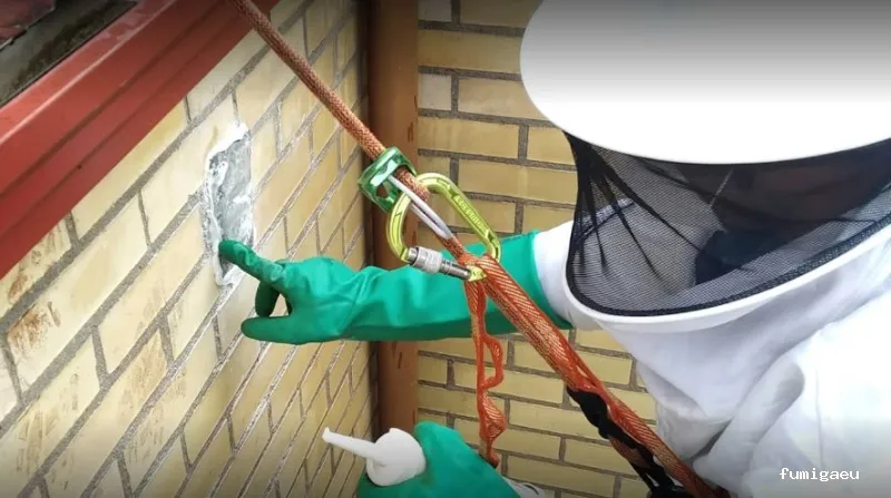 Control de plagas y termitas Termeprotec Palencia