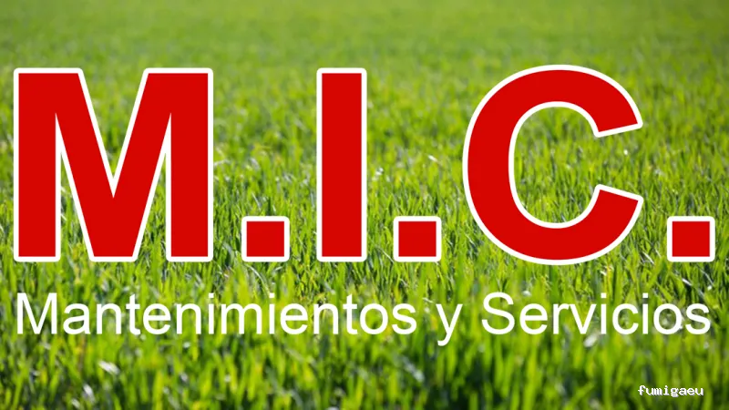 SERVICIOS MIC
