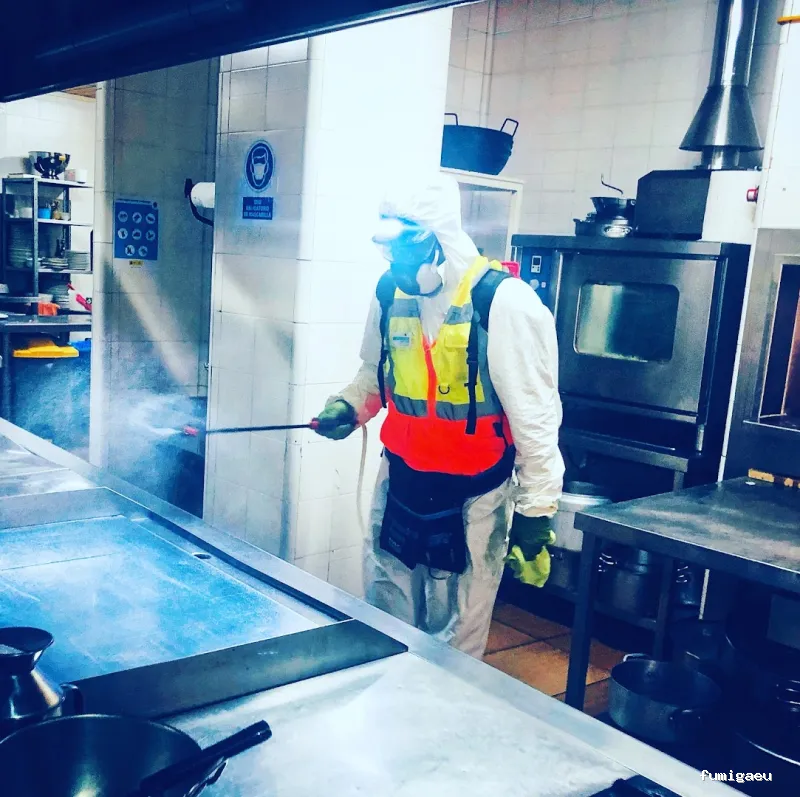 DESINTESA CONTROL DE PLAGAS HIGIENE AMBIENTAL