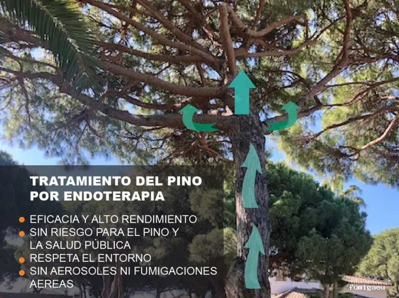 DESINTESA CONTROL DE PLAGAS HIGIENE AMBIENTAL