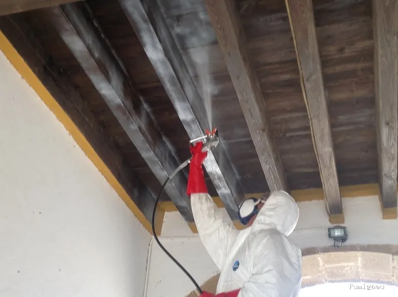 DESINTESA CONTROL DE PLAGAS HIGIENE AMBIENTAL