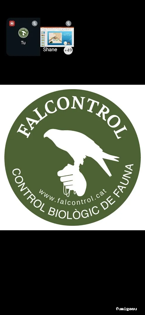 Falcontrol