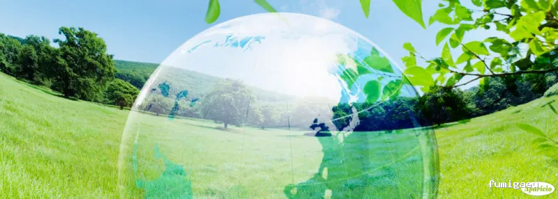 Aparicio Tratamientos