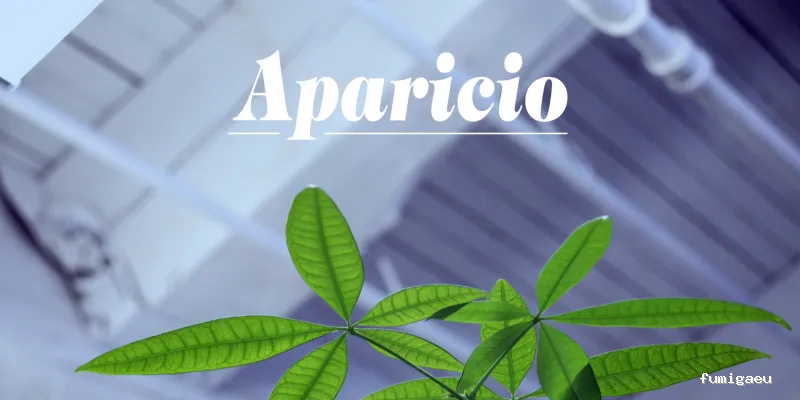 Aparicio Tratamientos