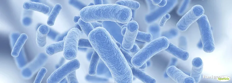 Aparicio Tratamientos