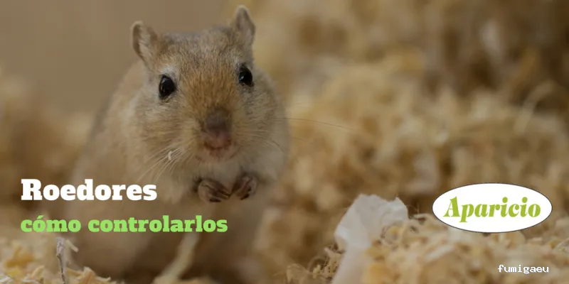 Aparicio Tratamientos