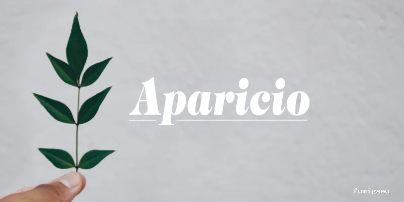 Aparicio Tratamientos