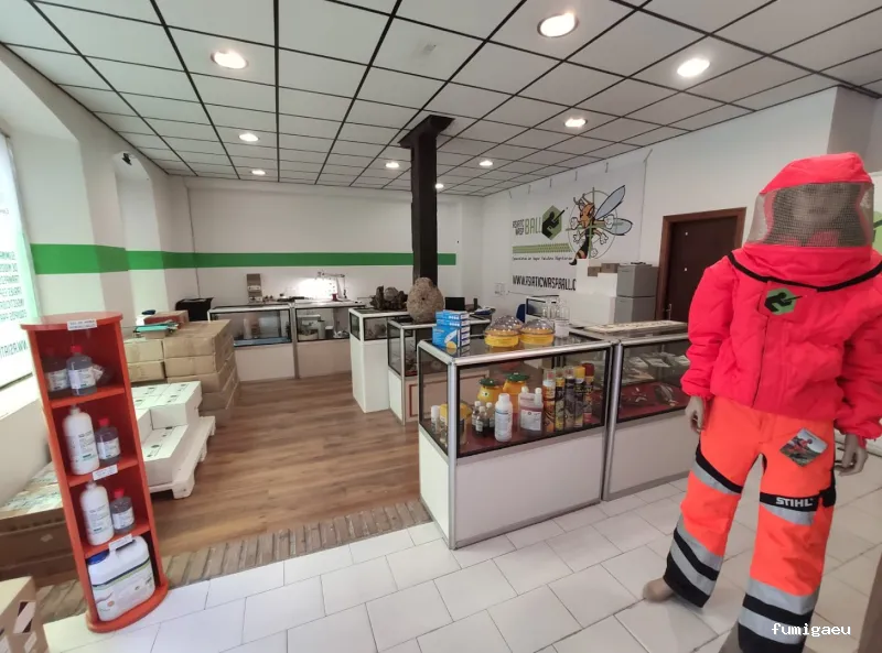 Asiatic Wasp Ball control de plagas especialistas en avispa asiática