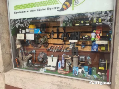 Asiatic Wasp Ball control de plagas especialistas en avispa asiática