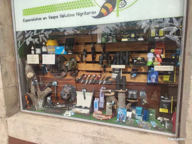 Asiatic Wasp Ball control de plagas especialistas en avispa asiática