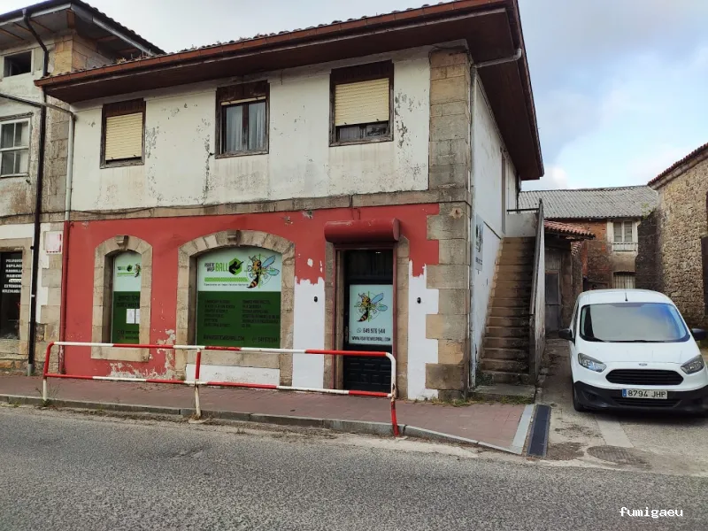 Asiatic Wasp Ball control de plagas especialistas en avispa asiática