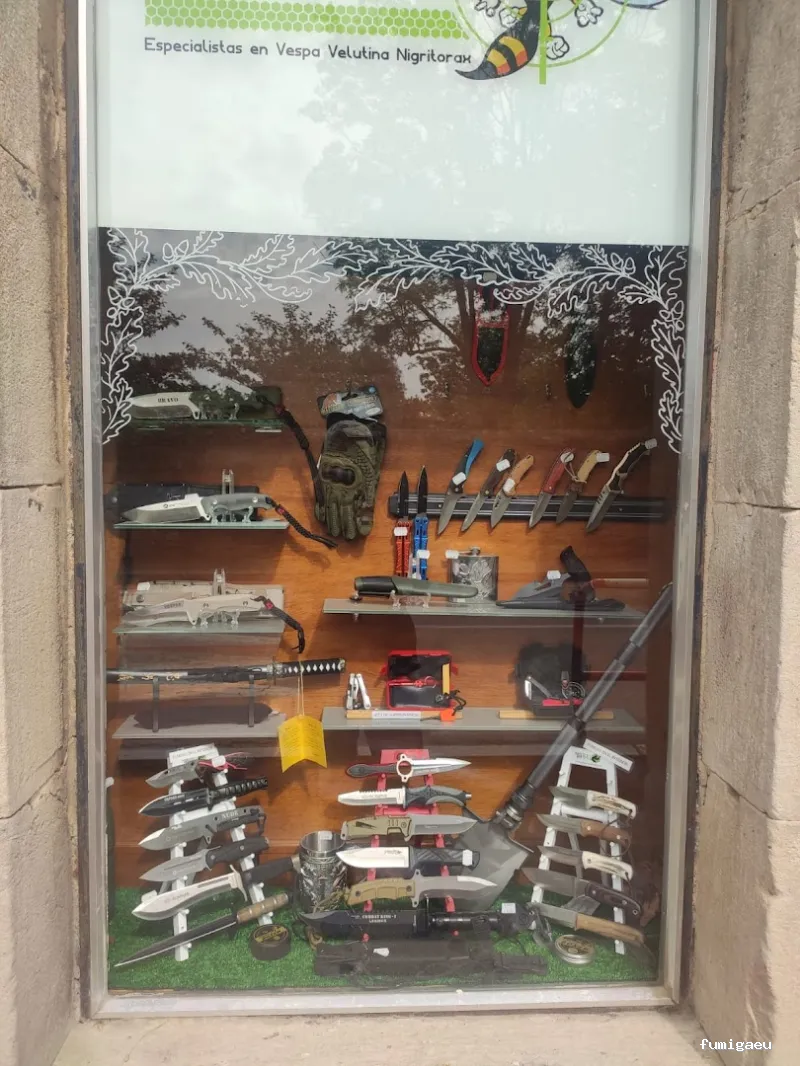 Asiatic Wasp Ball control de plagas especialistas en avispa asiática