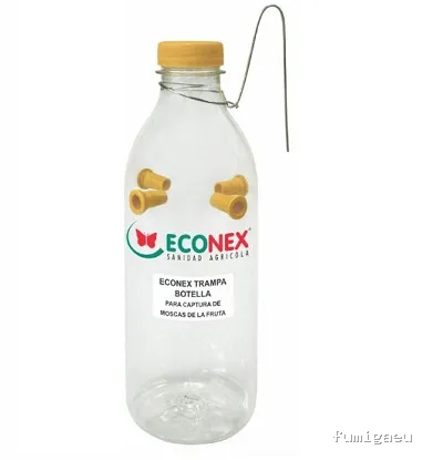 Asiatic Wasp Ball control de plagas especialistas en avispa asiática