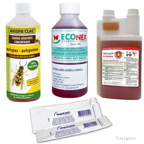 Asiatic Wasp Ball control de plagas especialistas en avispa asiática