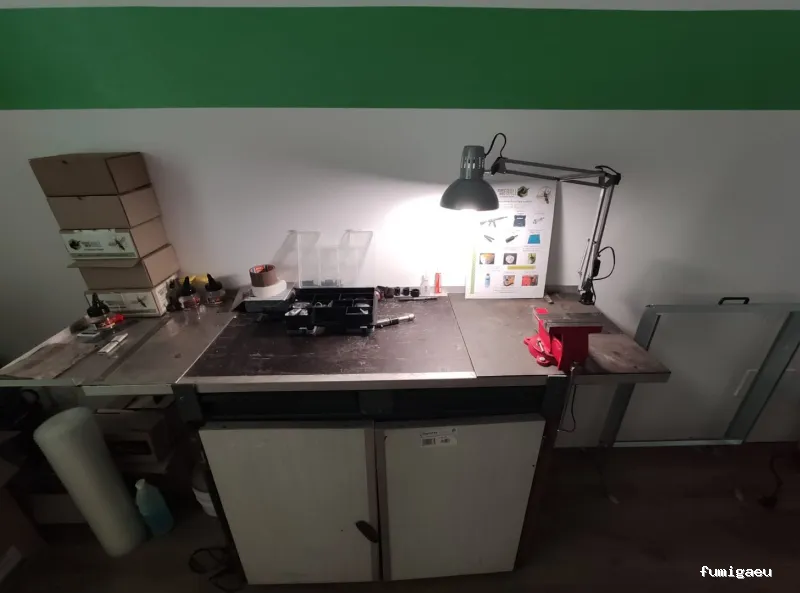 Asiatic Wasp Ball control de plagas especialistas en avispa asiática