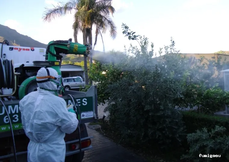 Desfiplagas Pest Control