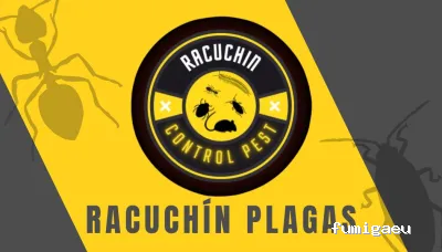 RACUCHÍN PLAGAS