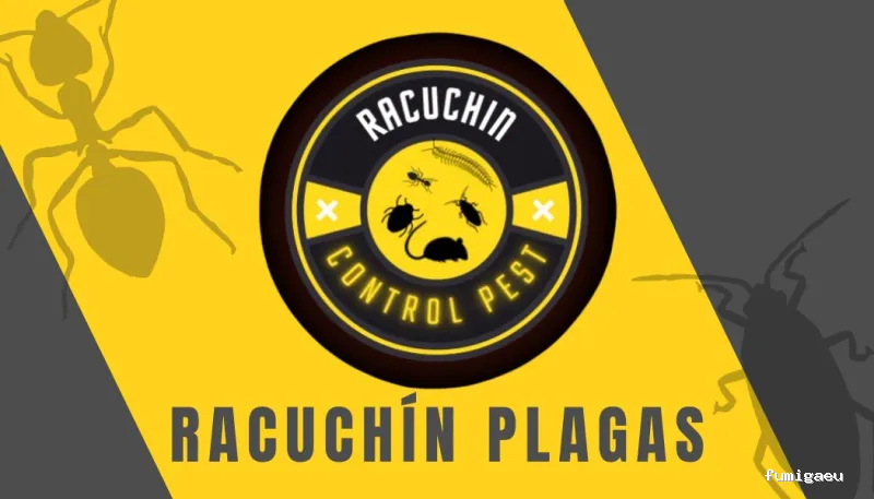 RACUCHÍN PLAGAS