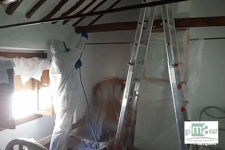 Gimasur - Control de Plagas y legionella en Andalucía Central