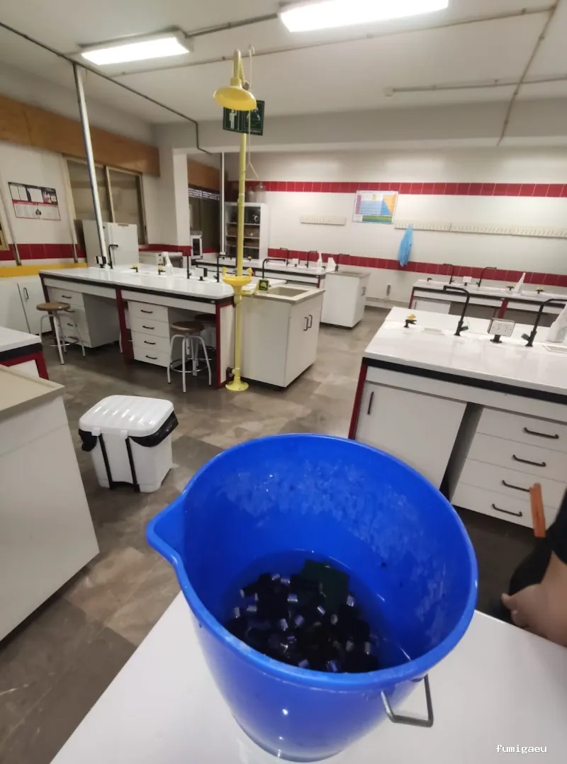 Gimasur - Control de Plagas y legionella en Andalucía Central